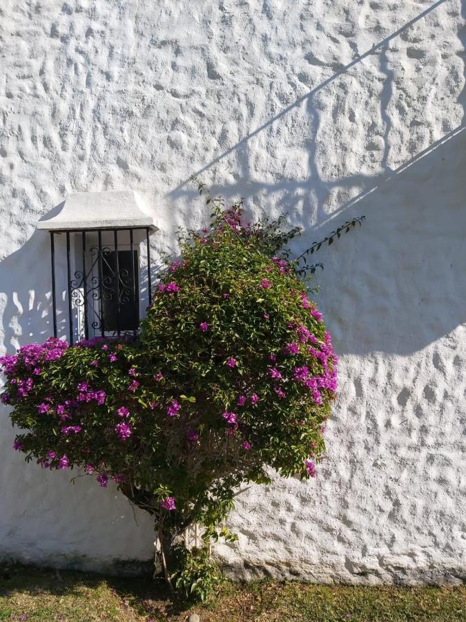 Benamara Gardens, Apartment With Pool, 100M From Beach Near Marbella & Estepona Exterior photo